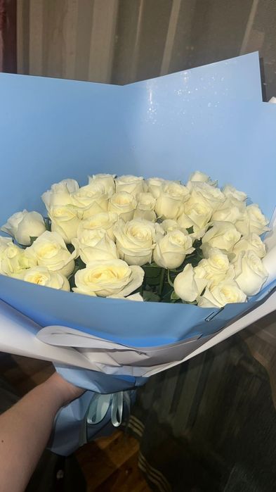 Голландский роза