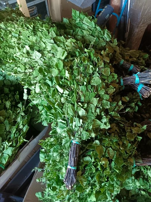 Веники берёзовые для бани