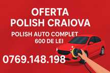 Polish auto si detailing