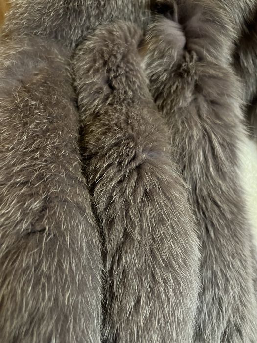 Blana de vulpe gri