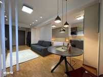 Studio tip Loft-Metrou