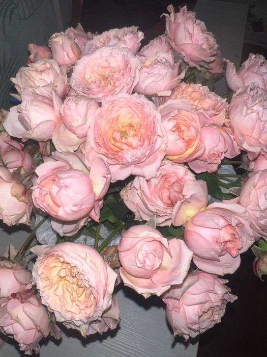 Букет живой букеты