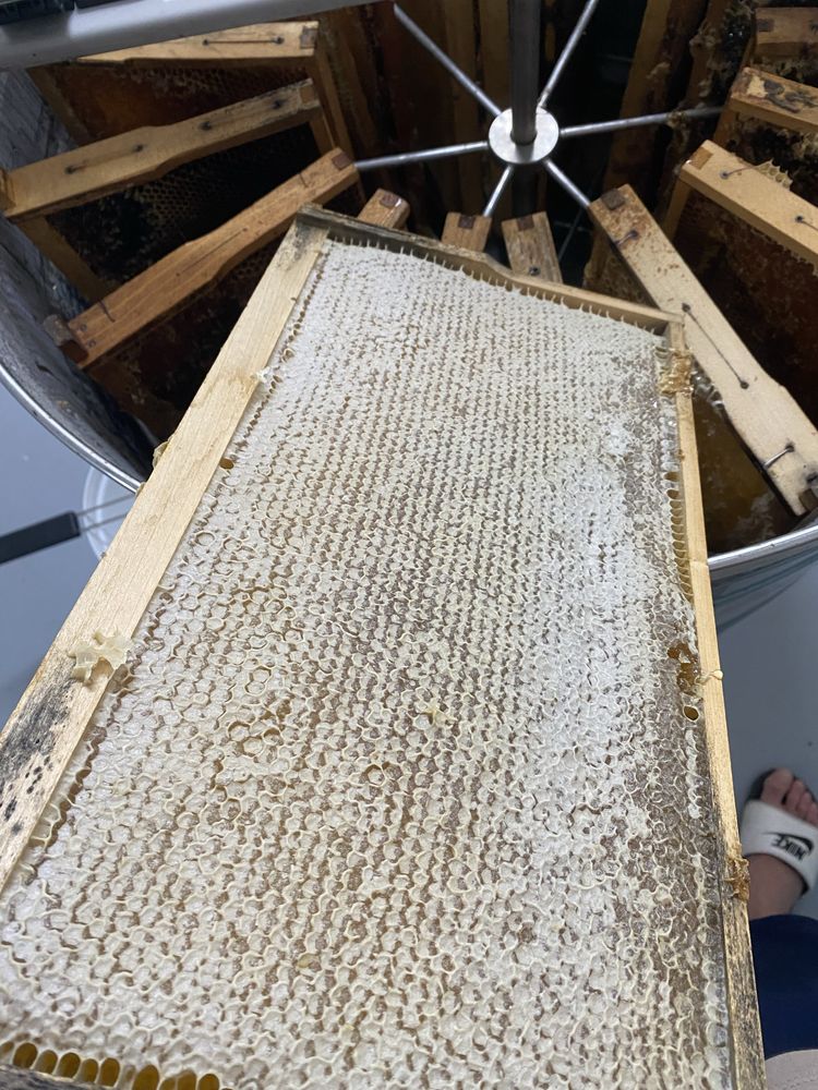 Faguri cu miere, produs 100% natural
