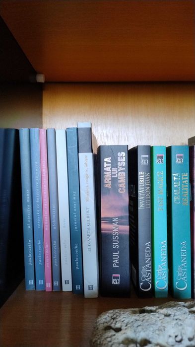 Colectie carti, CD-uri si DVD-uri