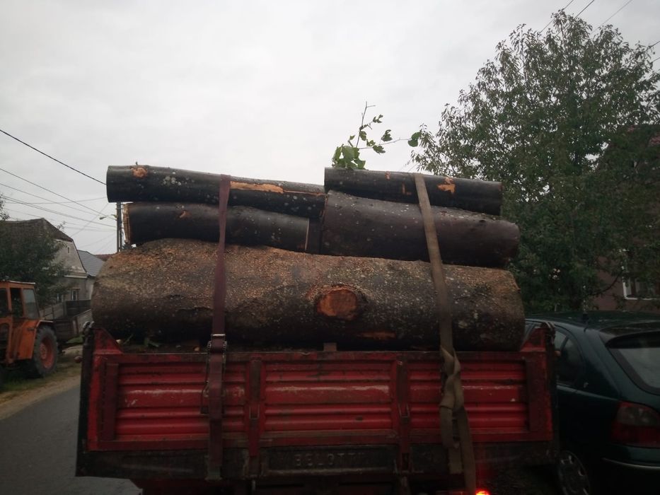 Lemn de foc la comandă