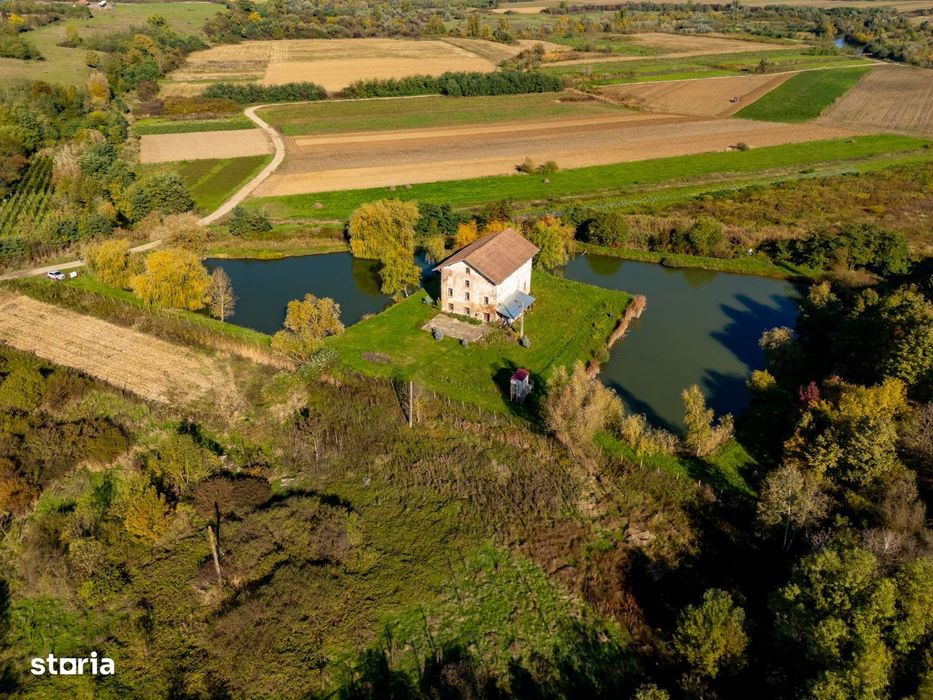 Moara de vanzare in Aldesti