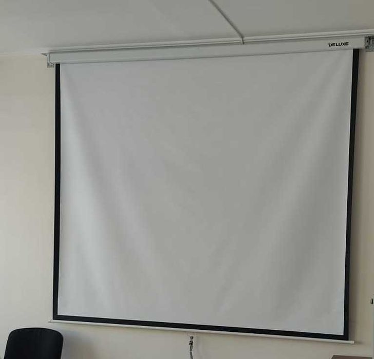 Проекционный экран De Luxe DLS-M244W