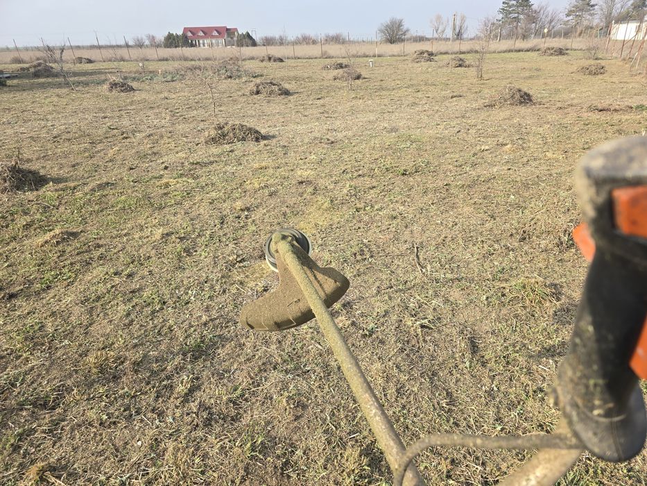 Defrișări tăieri pomii