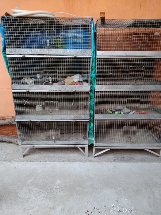 Кафасла сср идеал