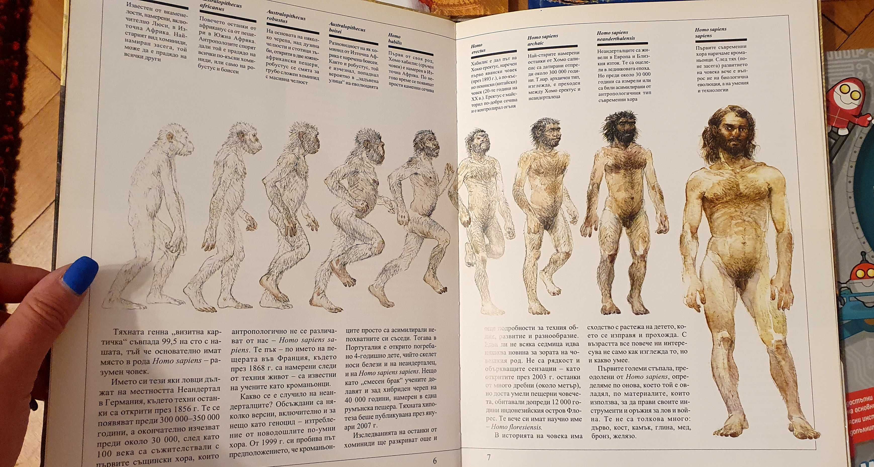 ЛОТ Детски енциклопедии