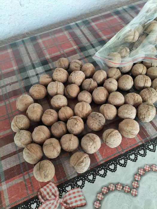 Орехи грецкие целые и чищенные