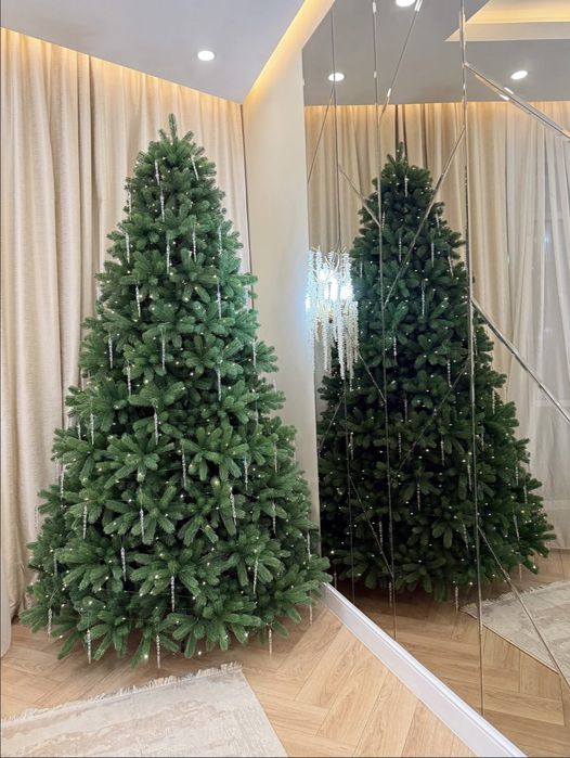Шырша, Ёлка - оптом және розница ең арзан бағада