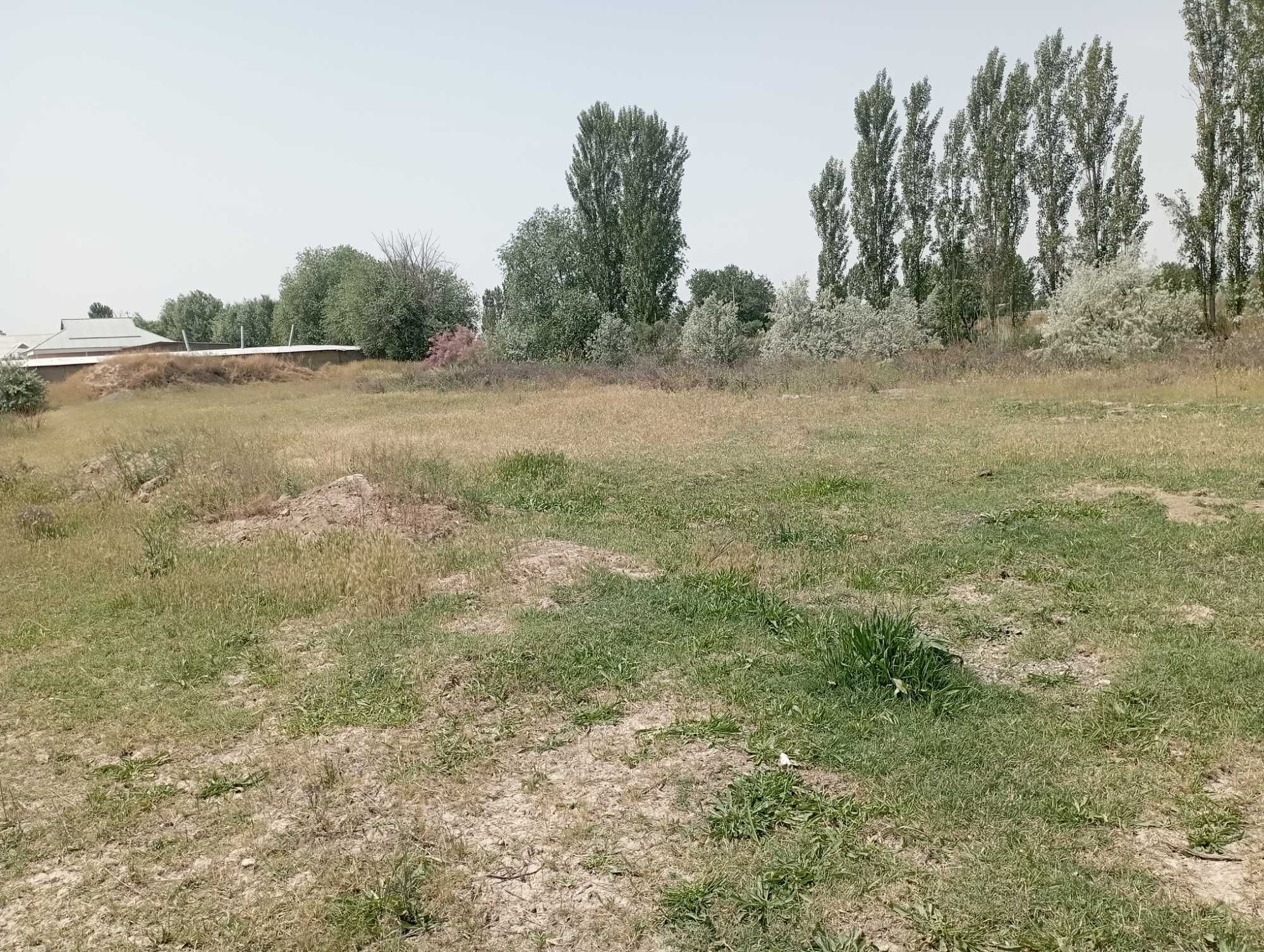 12 sotixli uchastka sotiladi ulugobod qabristoni yonida