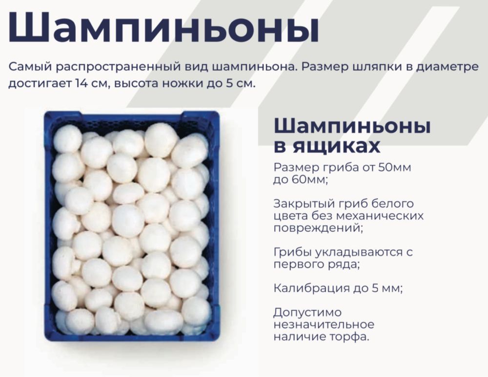 Грибы/Шампиньоны