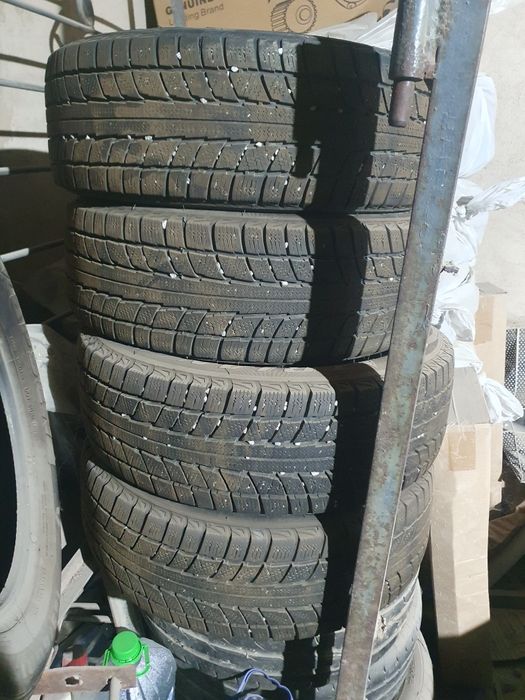 Зимние шины Triangle