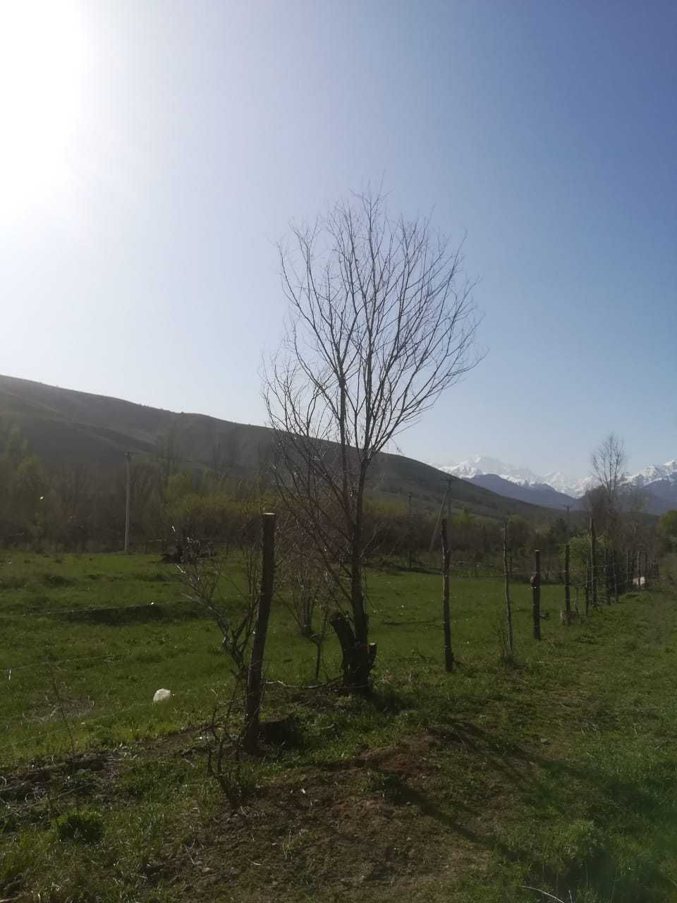 Трясёт в квартире и нечем дышать в городе?)) Выход есть!