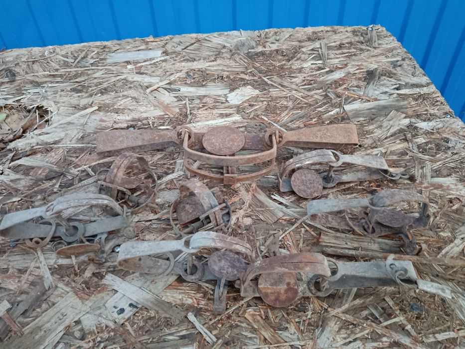 Продам капканы железные