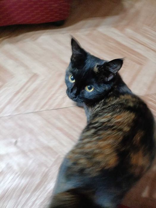 В самые ответственные руки