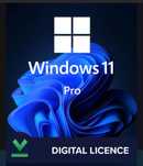 Instalez windows 11 pro cu licenta.