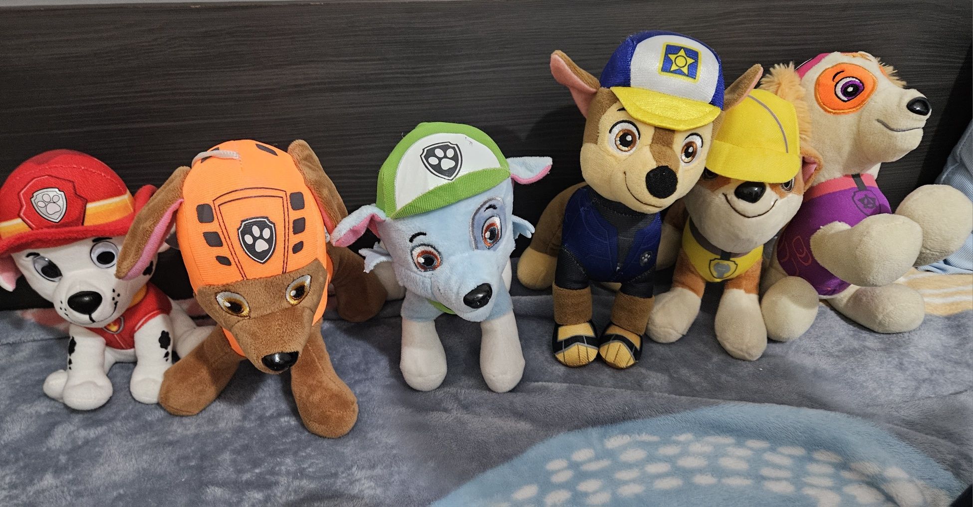 Patrula Catelusilor/Paw Patrol
