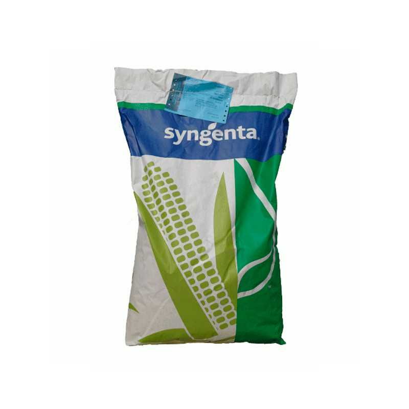 Seminte de porumb Syngenta Cobalt, FAO 340, 50.000 boabe