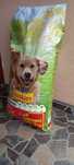 Purina Friskies, 15 kilograme