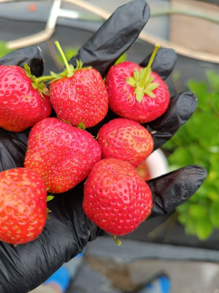 Продам классную дачу в которой можно жить весь сезон.