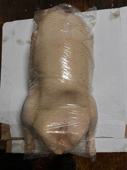 Продам гусинное мясо!