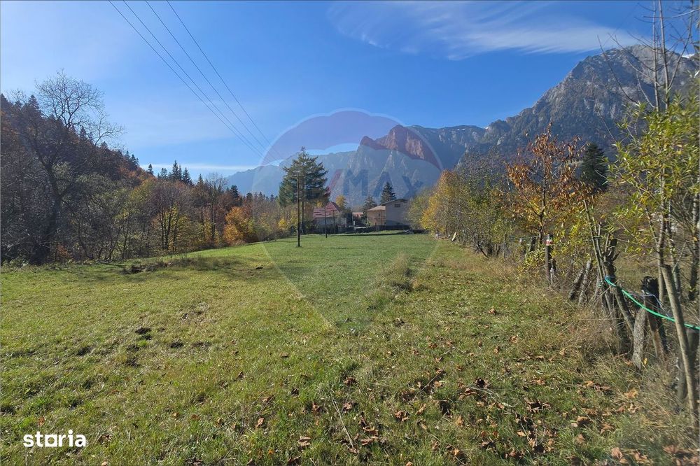 Teren intravilan cu vedere spectaculoasă spre Crucea Caraiman