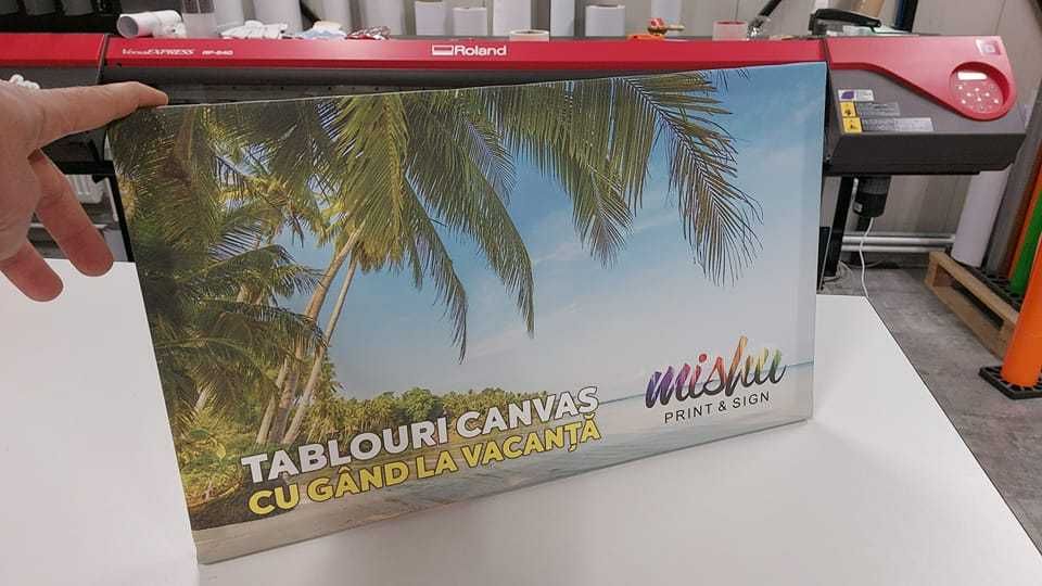 Tablouri Canvas Personalizate