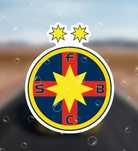 SET Steag Fcsb + Fes Fcsb Fc Steaua București