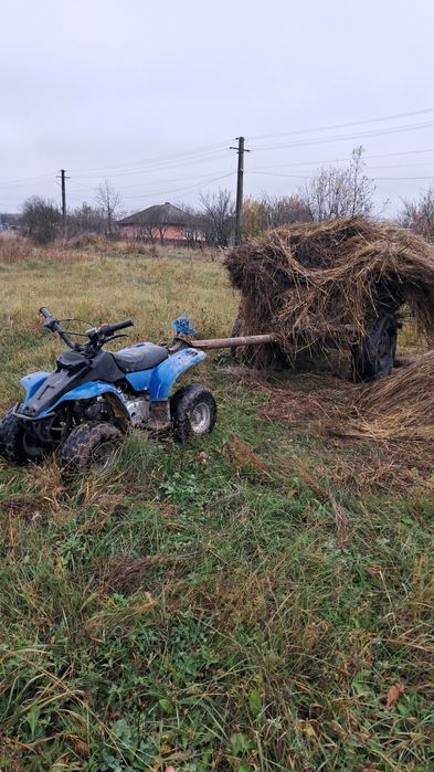 Vand Atv sau schimb cu animale.