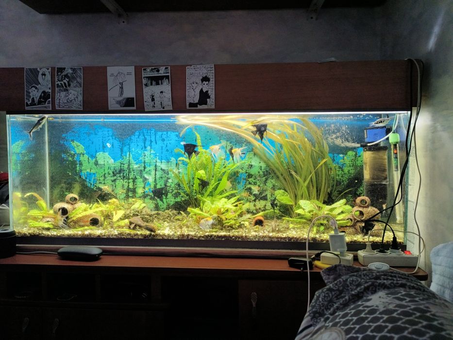 Продам аквариум 240л