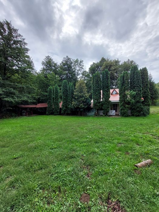 Cabane de inchiriat Padurea Neagra si Grosi Valea Gepisului