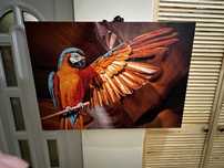 Tablou canvas mare