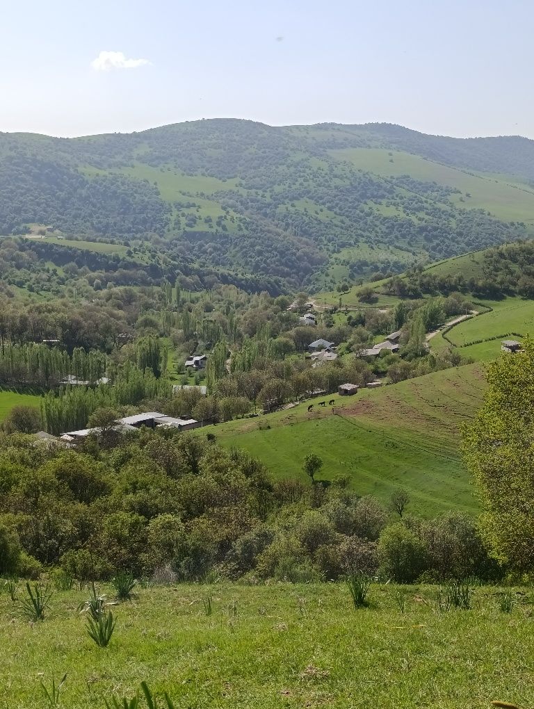 Прадаётся дом...