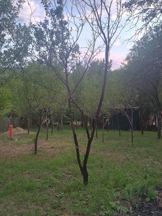 Teren la 2km de Deva