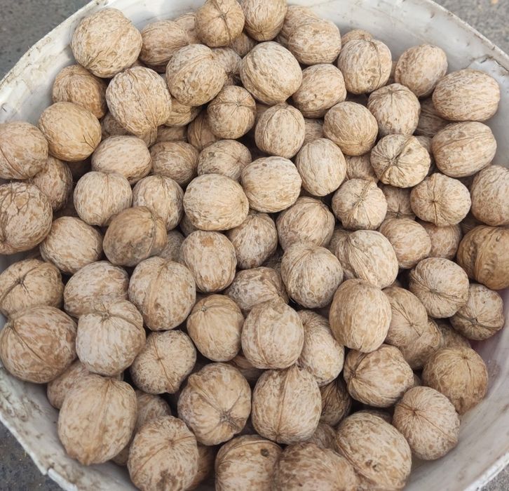 Грецкий орех с Текели, свежие.