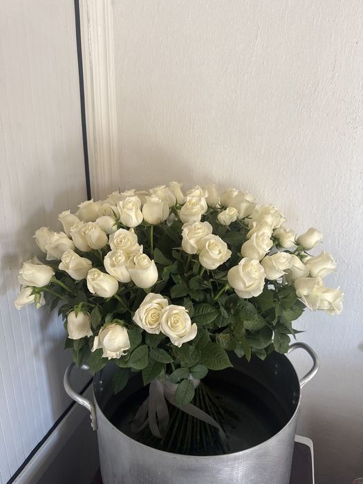 101 голландская ак роза