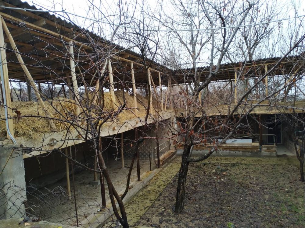 Срочна продается дача с готовой фермой 10 соток