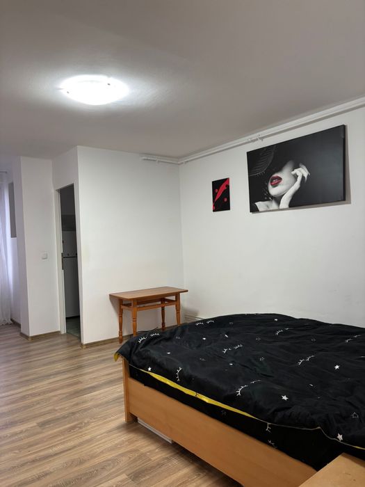 Proprietar inchiriez garsoniera Take Ionescu