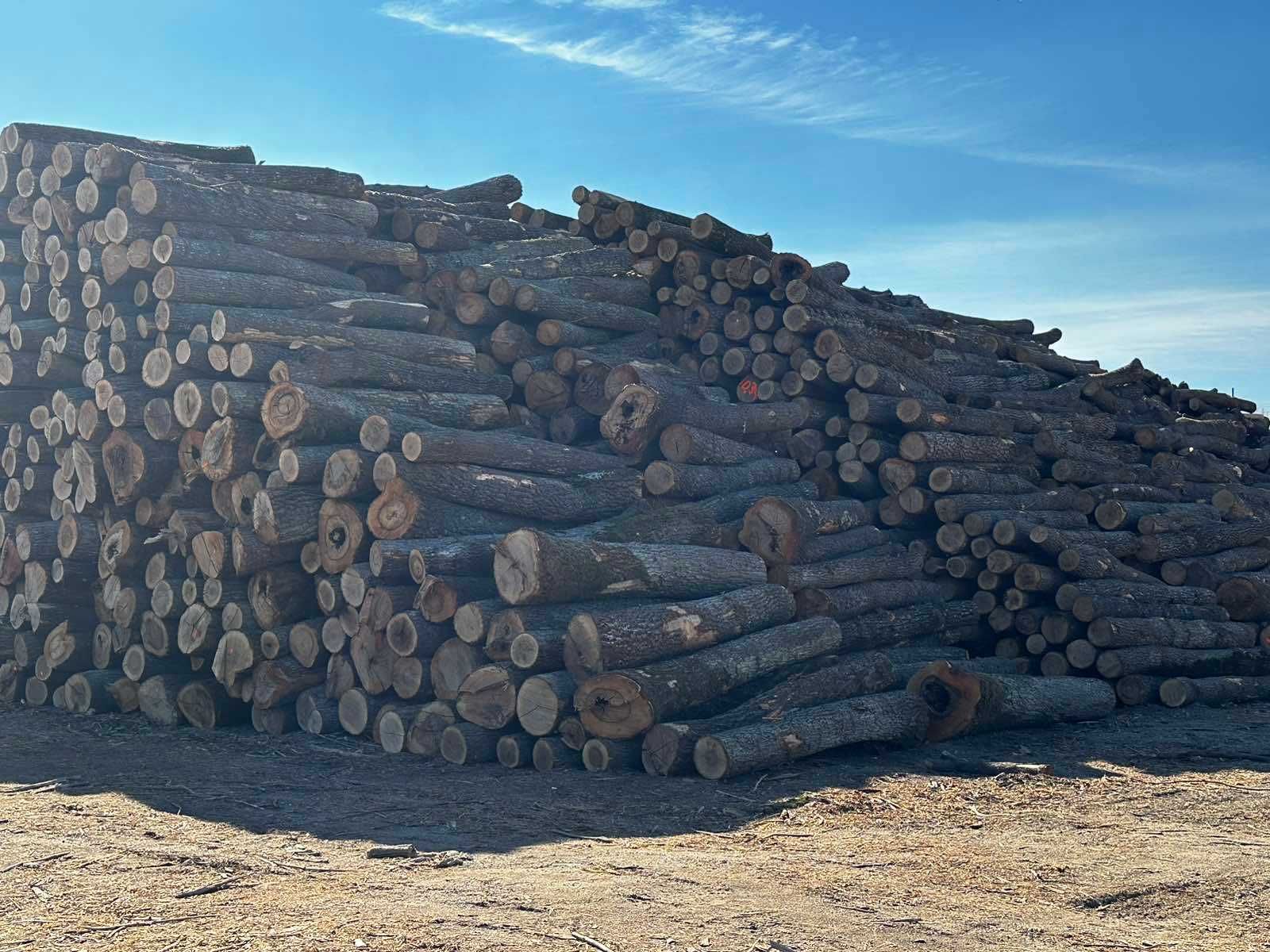 Дървени колове от акация и дърва за  огрев  - РУСЕ - "Ивел 10" ЕООД