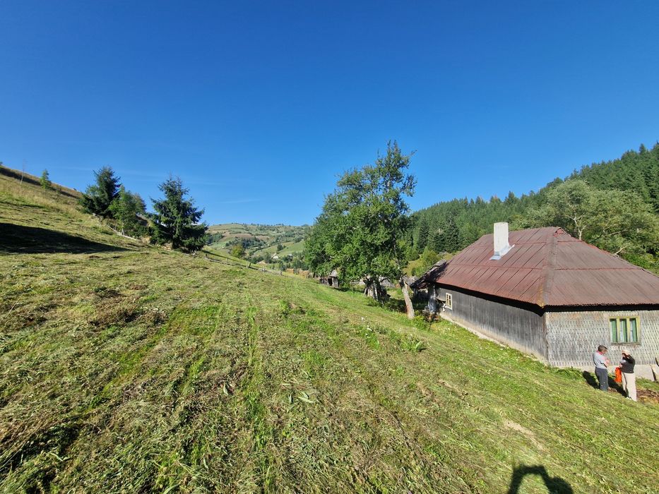 Teren 3,3 hectare intravilan + extravilan, Ilva Mare