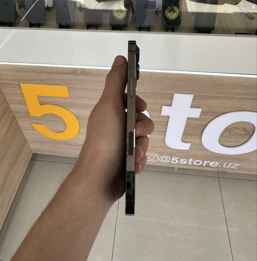 iPhone 13 pro max