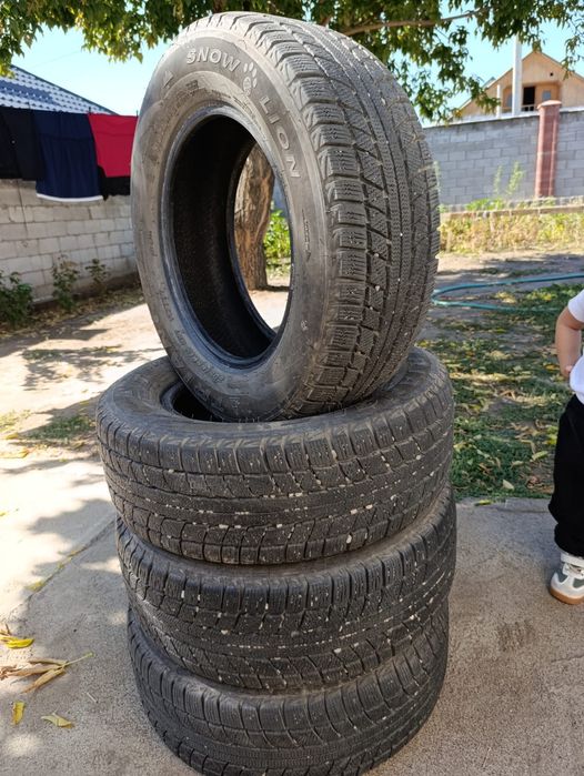 Trianjel Зимный.