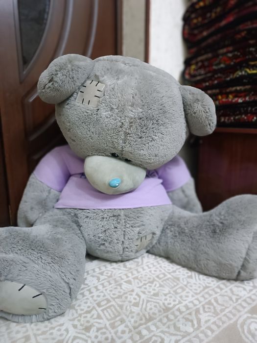 Teddy bear grayy
