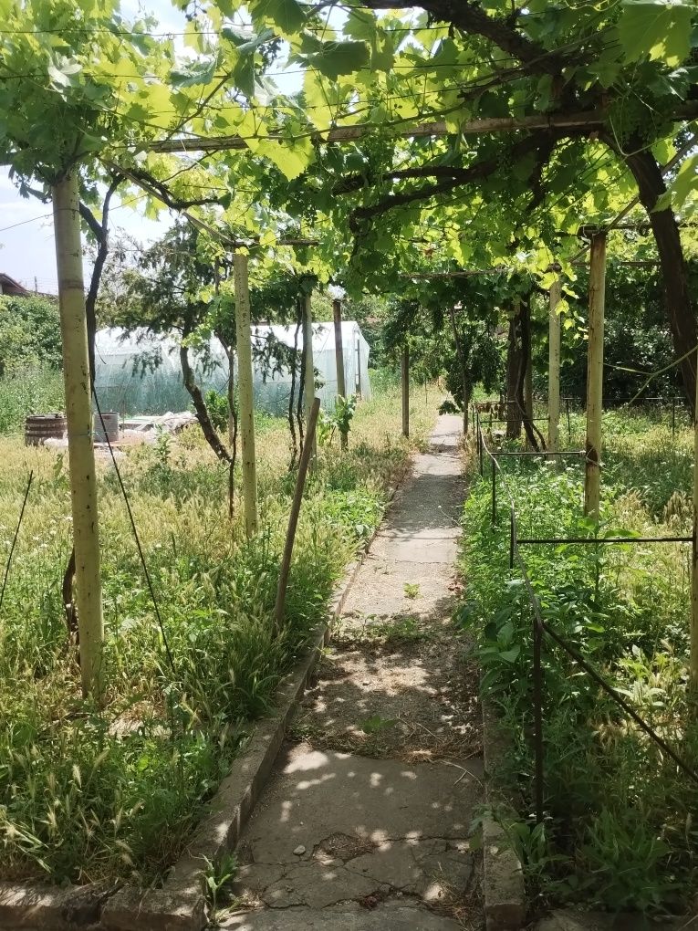 Продава се Къща в с. Кочово, Област Шумен - 170 кв.м за 240 €/кв.м - Снимка #3