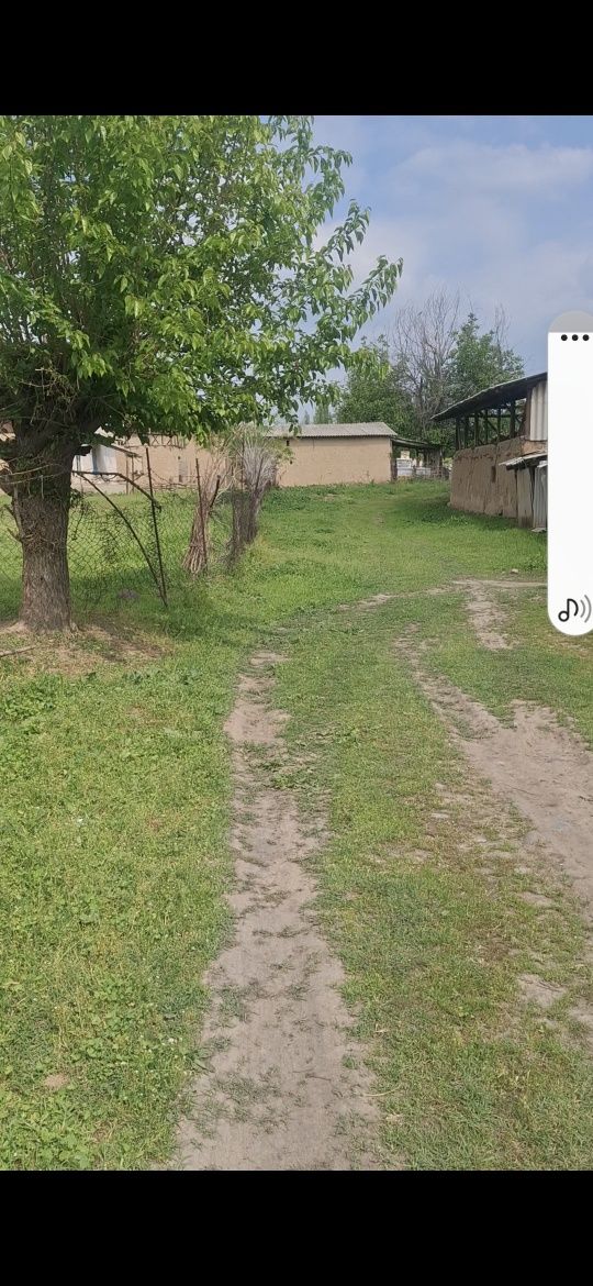 Продаётся дача 17соток находится недалеко от Паркента озеро Хожакол