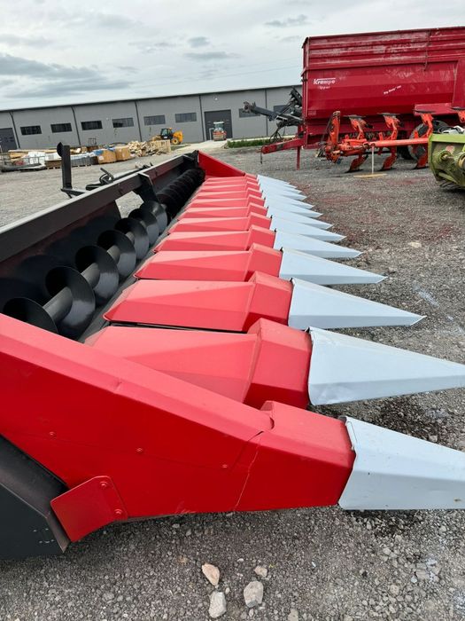 Dominoni Heder Porumb Dominoni Heder Porumb