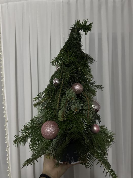 Bradut din cetina naturala